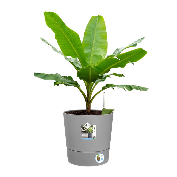 greensense aqua care rond 35cm ciment clair